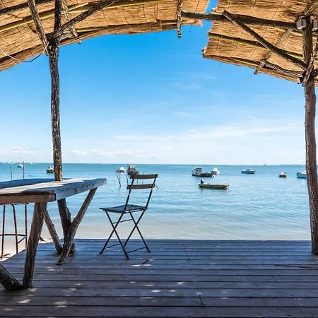 Au Calme-bassin D'arcachon